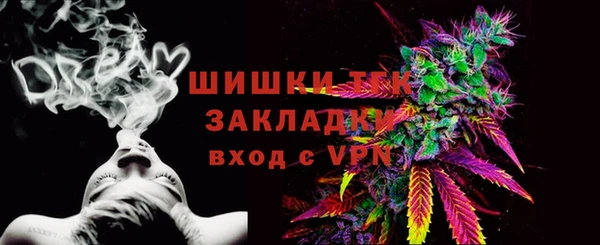 прущий лед Новозыбков
