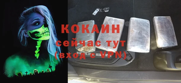 прущий лед Новозыбков
