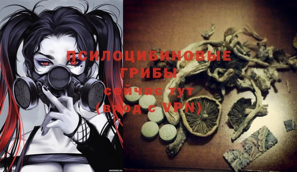 хмурый Новокубанск