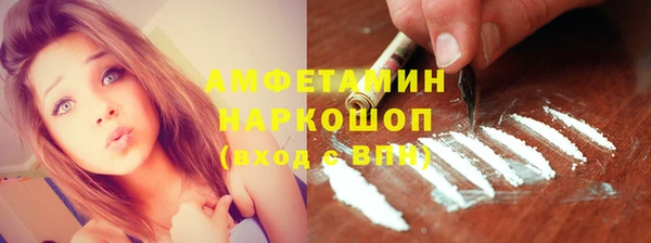 прущий лед Новозыбков