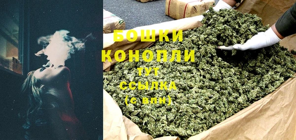 прущий лед Новозыбков