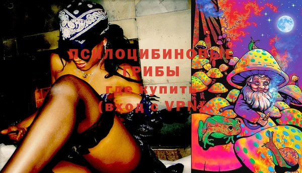 прущий лед Новозыбков