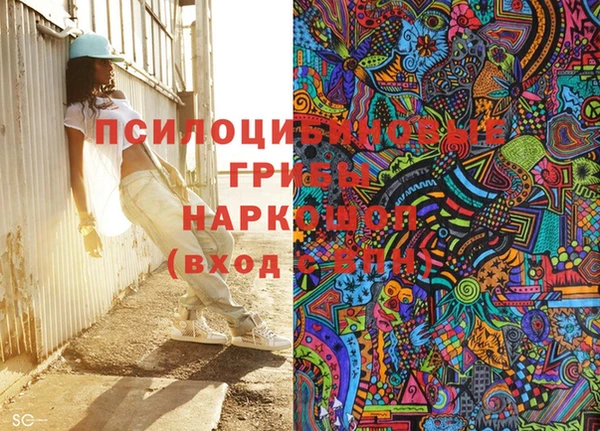 прущий лед Новозыбков