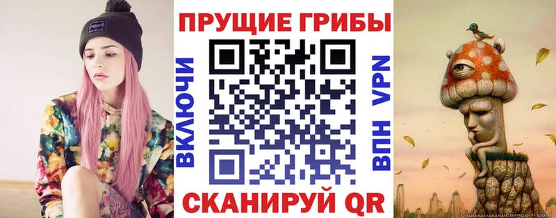 Псилоцибиновые грибы Cubensis  Купино 
