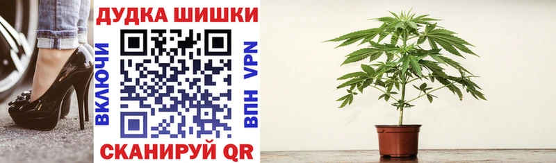 Конопля семена Купино